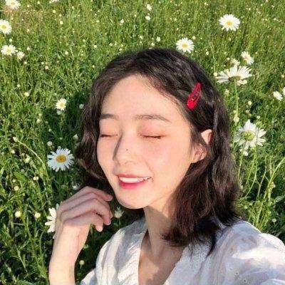 航海王启航桑尼号手游下载